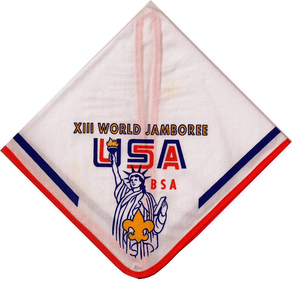 1971 ZDA kontingent