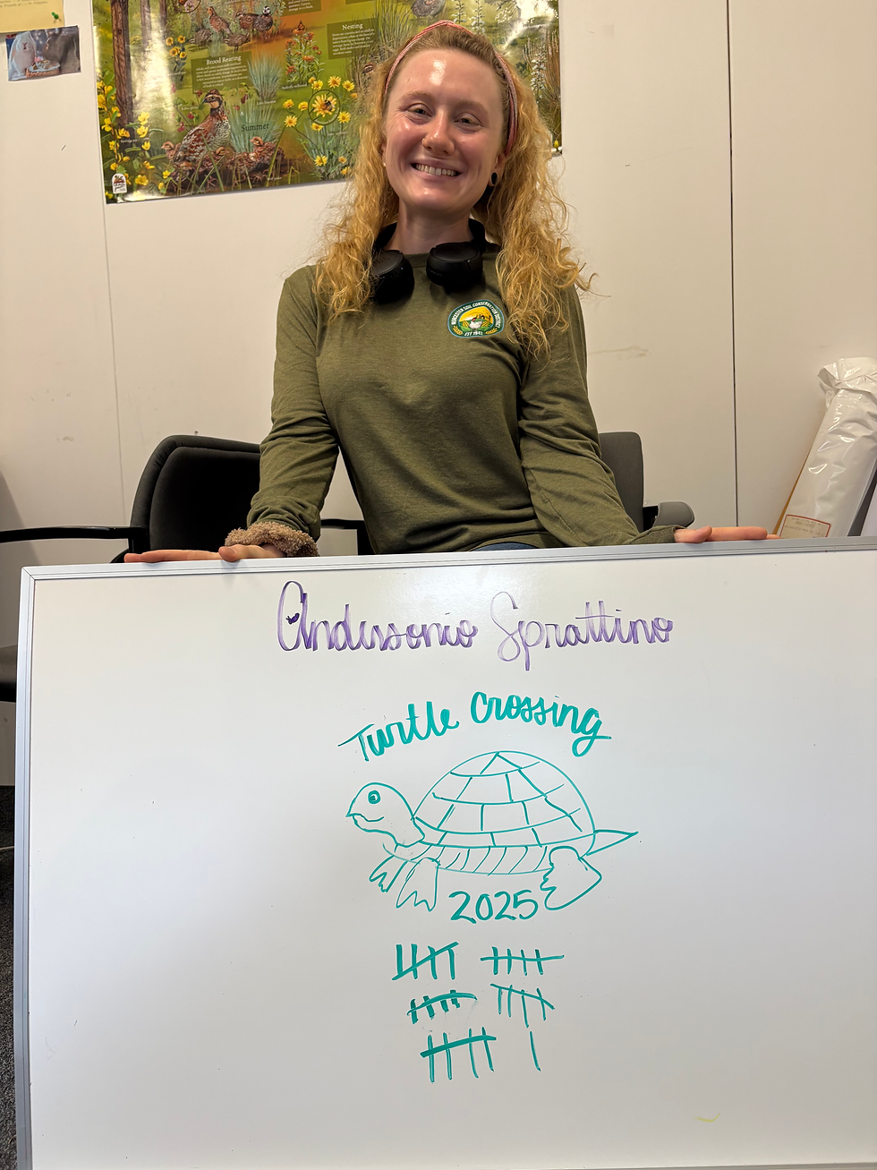 Turtle Crossing Tally with Anderson Spratt PC: Beth Sheppard