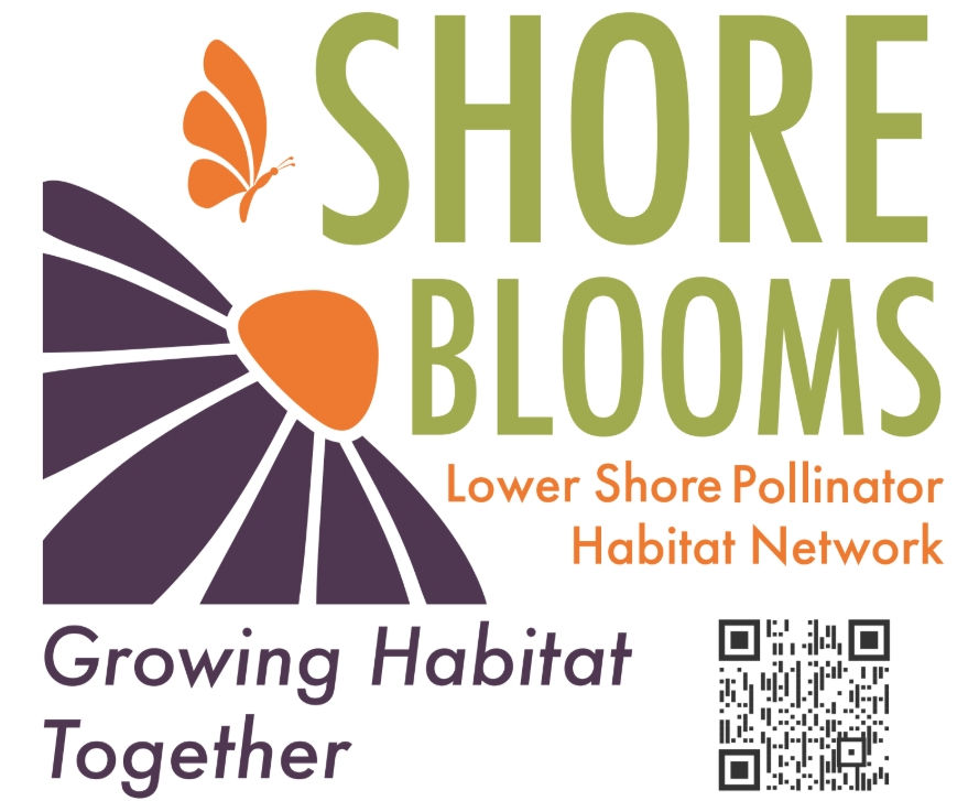 Shore Blooms Logo. PC: Kacey Martin