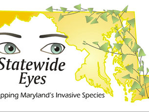 From Friend to Foe: Detecting Invasive Species creeping into Eastern Shore landscapes