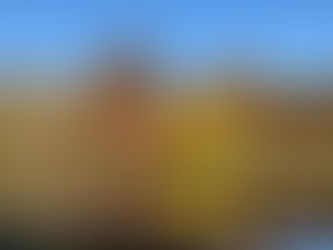 Delmarva's Autumn Palette