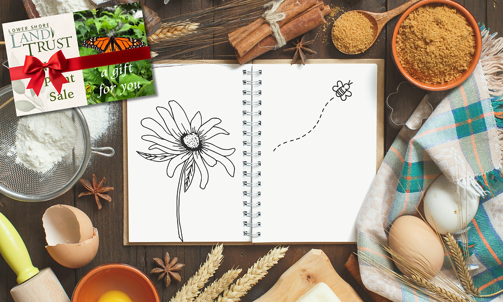 Your Native Plant Garden Recipe for the New Year