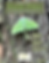 July 2023 Field Files.png