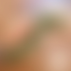 【サンドイッチ】⁡