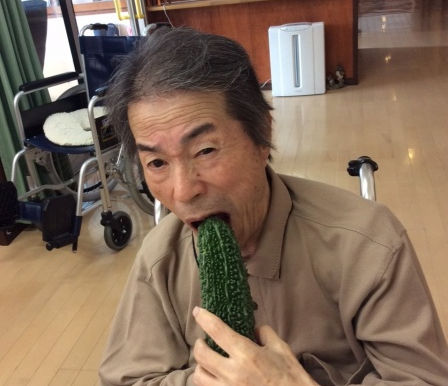 ☆たいじゅゴーヤ第一号★