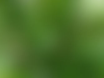 ☆震災の影響★