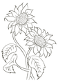 Tournesol Olive.png