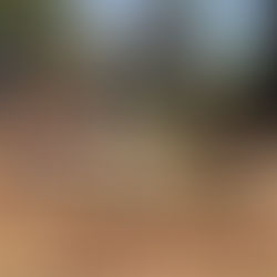 Grupo Gira-Sol de Agroecologia