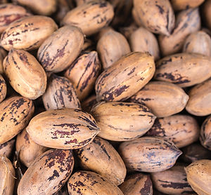 In Shell FB ad art.jpg