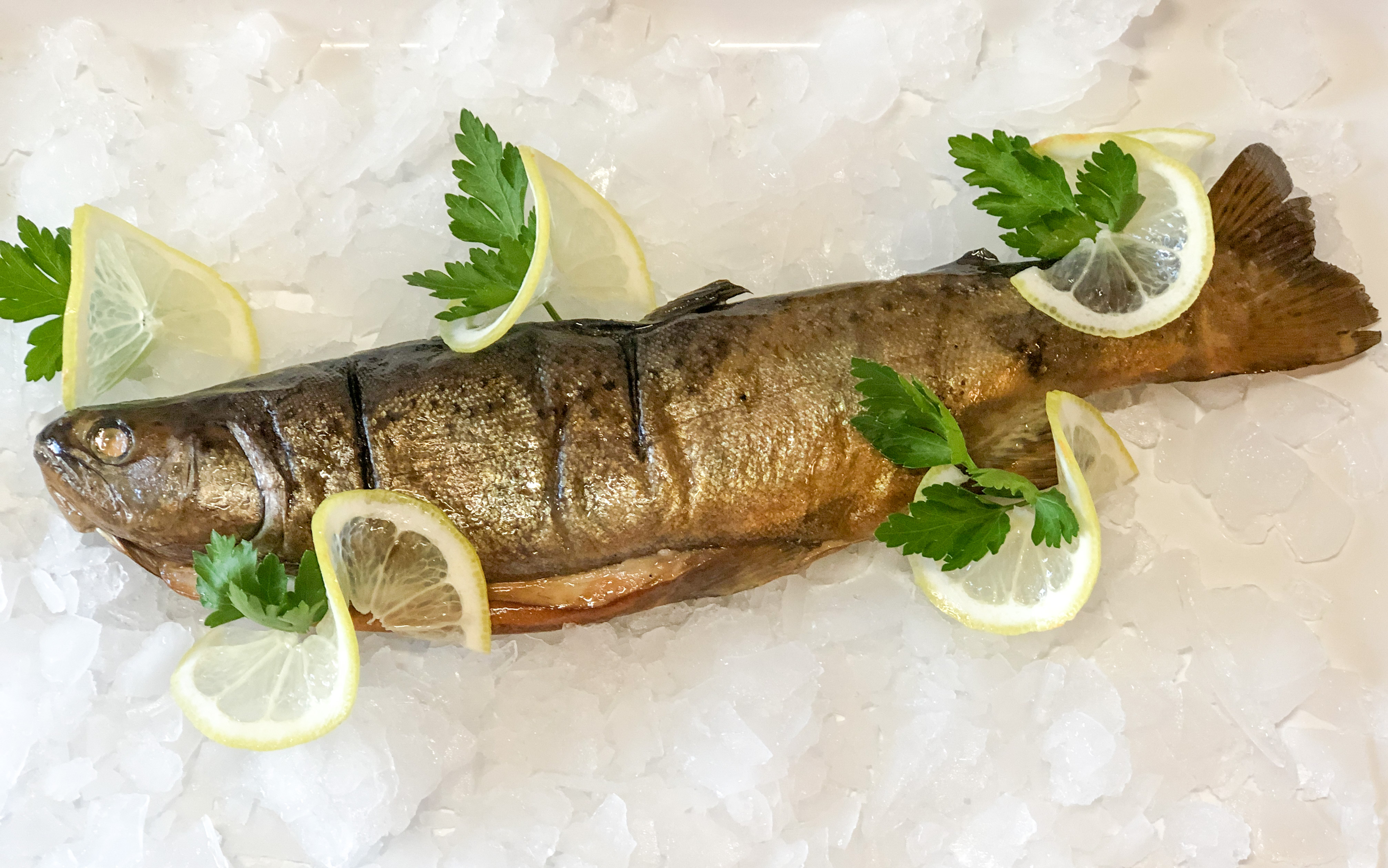 Arranged Food and Objects