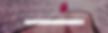 Adobe Stock