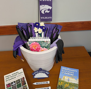 KState Libraries 2.jpg