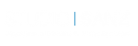 LOGO SANZ_blnaco.png