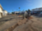 20260429_071728.jpg