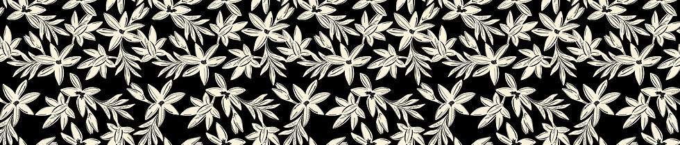 capas 50 prenchida.jpg