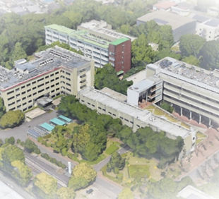 birdview2_edited.jpg