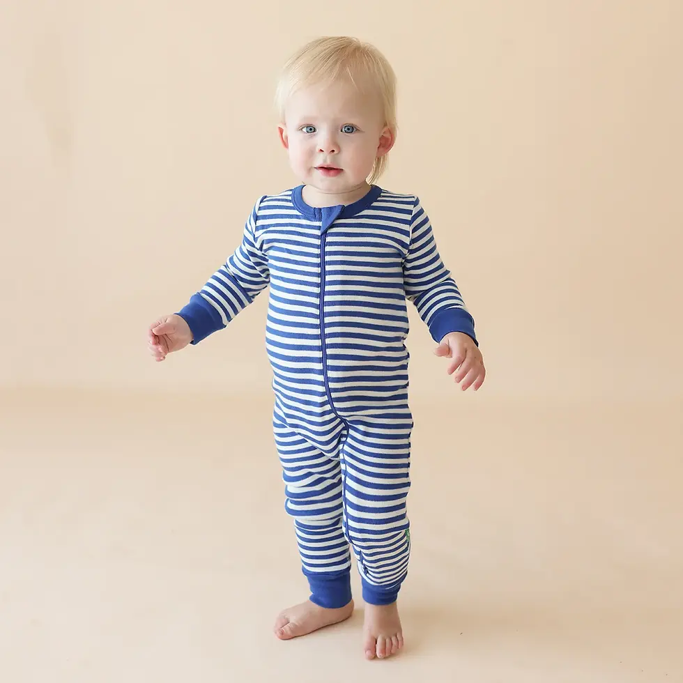 Parade Organics Organic Striped '2-Way' Zip Romper - LS True Blue Stripes