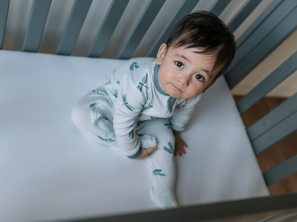 Zippyjamz Born to Fly - Dragonflies Footed Sleeper