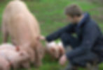 DSC_6257_SM.jpeg