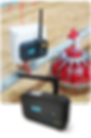 truelivestockimage2.png