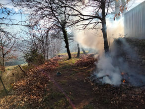 Au feu !... les feuilles