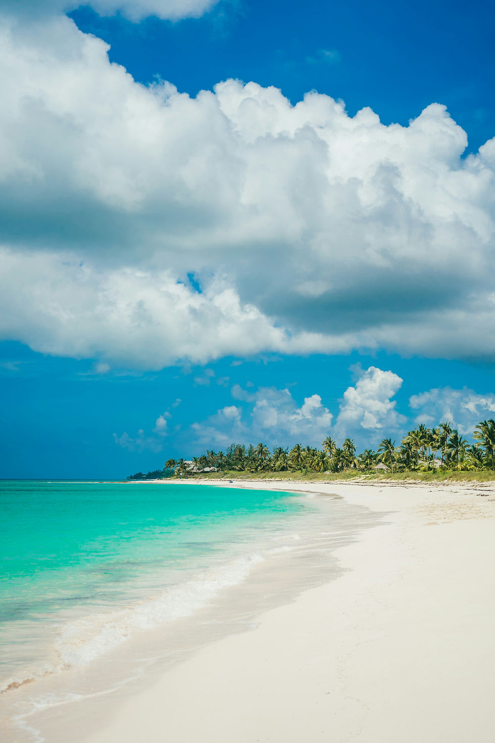 Turquoise shoreline with palm trees beneath a cloudy sky in Eleuthera, Bahamas