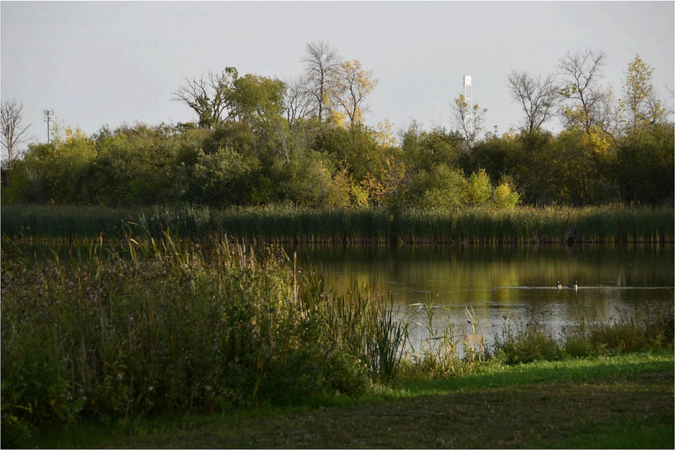 Manitoba Court of King's Bench decision recognizing Indigenous self-government rights in child and family services.
