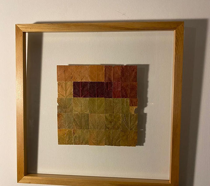 WhatsApp Image 2024-08-12 at 11.33.41(1).jpeg