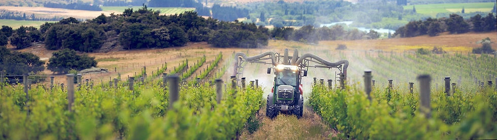 Vinewise Viticulture Vineyard Management Central Otago