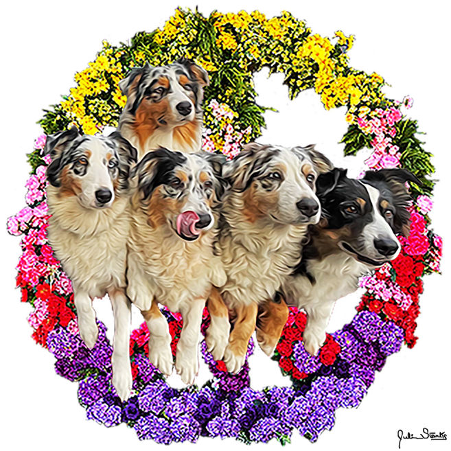 Peace Reef & Dogs.jpg