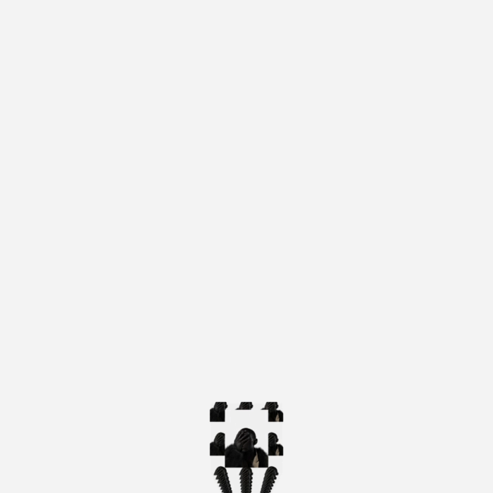 Trophy.gif