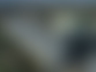 Posco International возобновляет работу зернового экспортного терминала на Украине