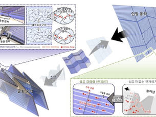 В Южной Корее разрабатывают электронные устройства, сгибаемые внутрь и наружу, с помощью нейлоновых волокон и гибкого электрода на полимерной основе