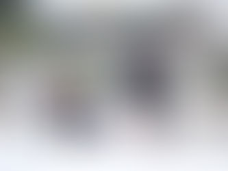 Что думают корейцы о своей жизни?