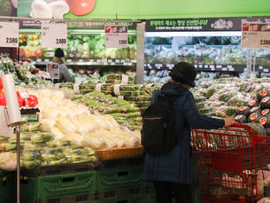 Южная Корея временно отменяет импортные пошлины на кукурузу для стабилизации цен