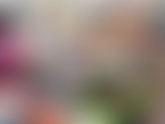 Привязанные к палочкам: стимулирующие купоны Южной Кореи вызывают раскол в розничной торговле страны