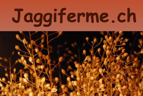 jaggiferme.ch