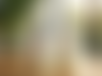 Essential Packaging Design Strategies to Elevate Nutraceutical Brands in India