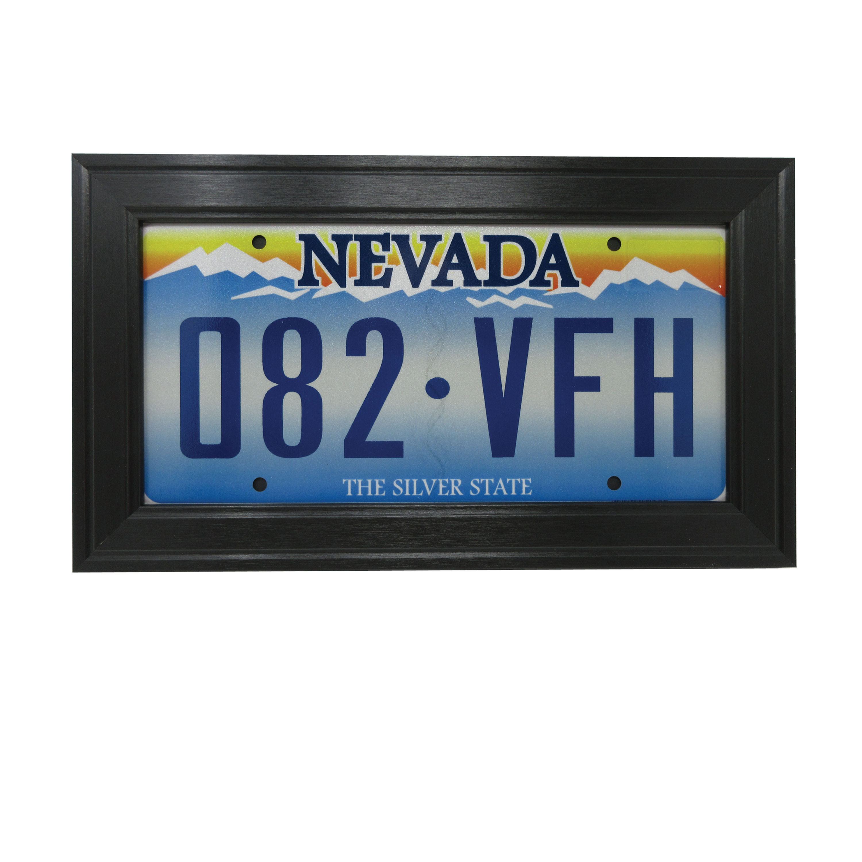 Automobile License Plate Tag Wall Display Picture Frame