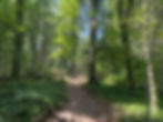 Grand Opening Weekend is September 6-7, 2025!