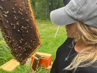 So, You Want to Be a Beekeeper? Here’s What to Know First