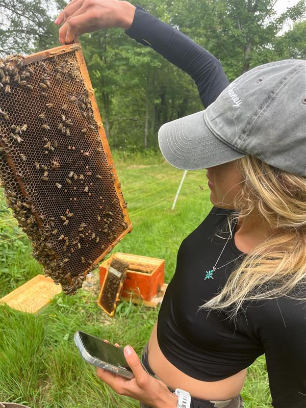So, You Want to Be a Beekeeper? Here’s What to Know First