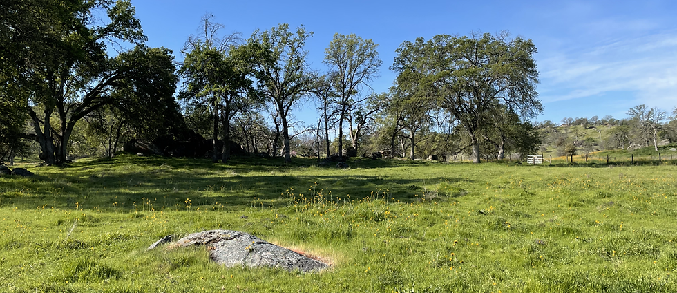 2000 image for webpage.png