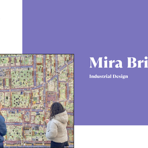 Mira Project