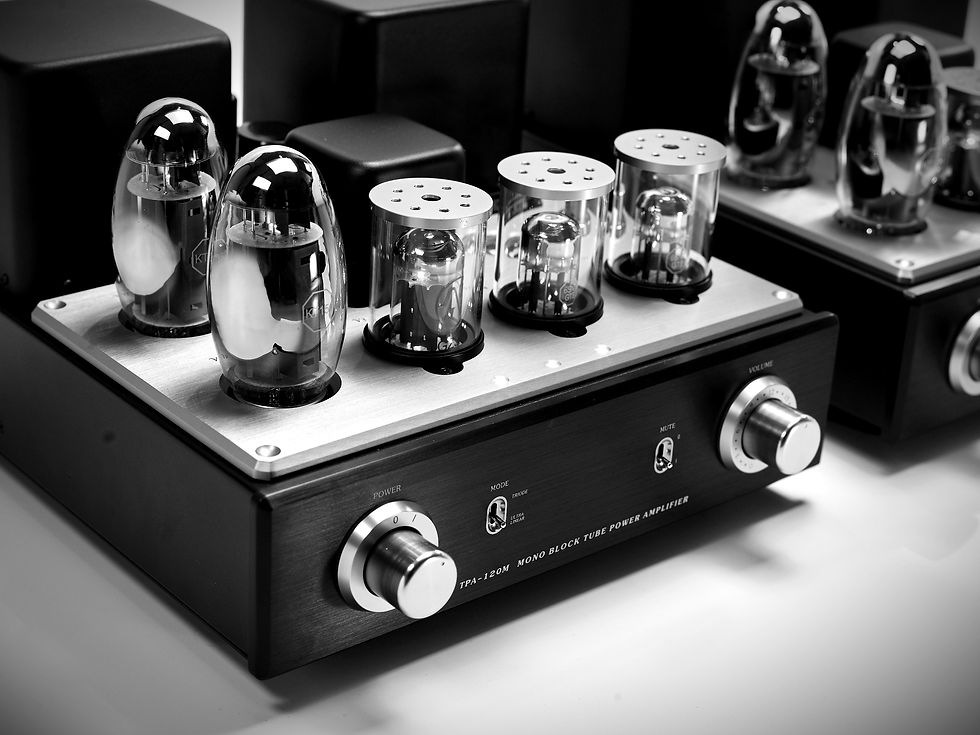 TPA-120M Mono Block Tube Power Amplifier