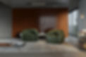 _TOGO BALL LIVING 000.jpg
