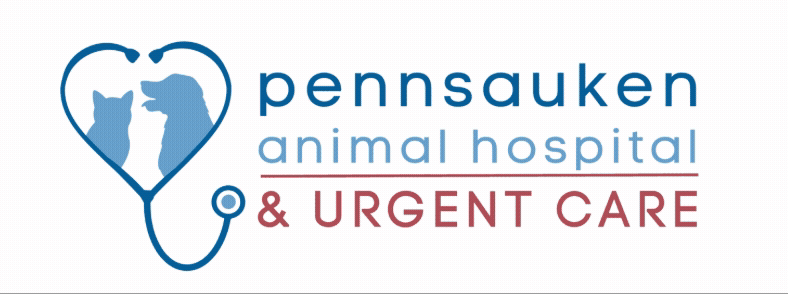 Pennsauken Animal Hospital gif - September 30, 2026 at 21.35.58 2.gif