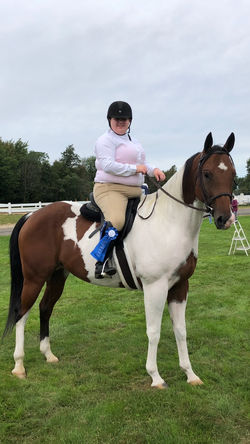 Shilo enjoying the horse show