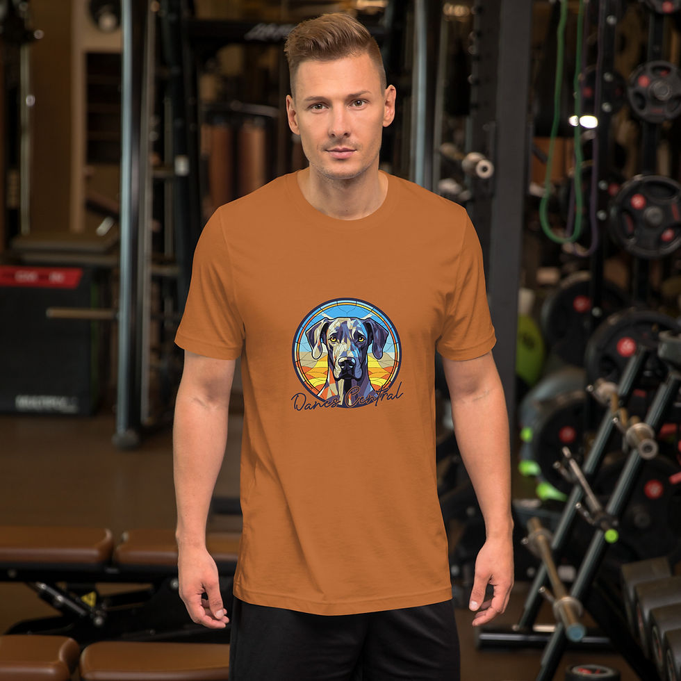Thumbnail: Danes Central Unisex t-shirt