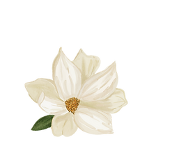 elements (2).png